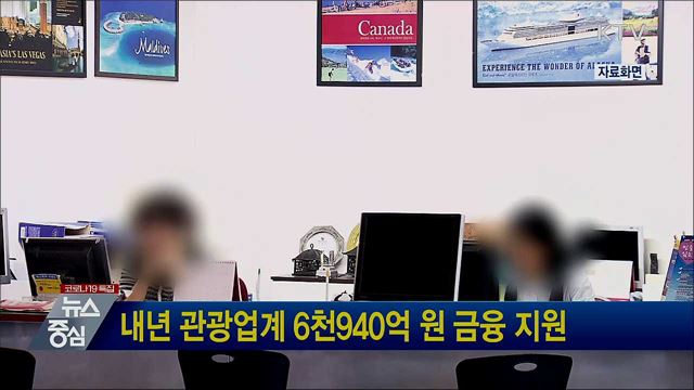 내년 관광업계 6천940억 원 금융 지원
