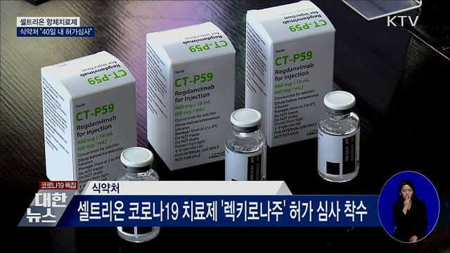 식약처 "셀트리온 항체치료제 40일 내 허가심사"