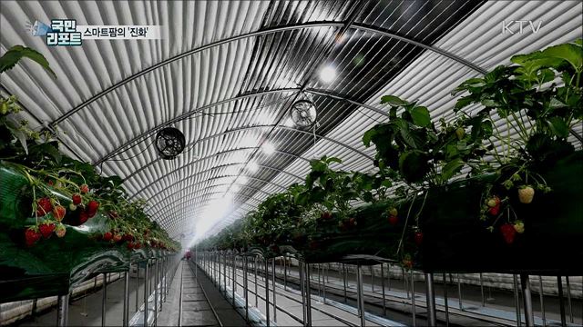 4차 산업혁명 최신 기술···더 똑똑해진 '스마트팜’