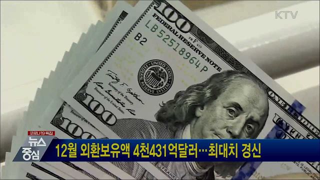 12월 외환보유액 4천431억달러···최대치 경신