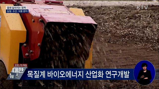 목질계 바이오에너지 산업화···친환경선박 인증제 도입