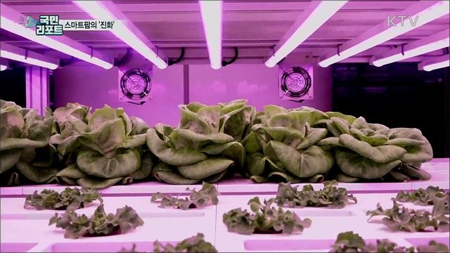 4차 산업혁명 최신 기술···더 똑똑해진 '스마트팜’