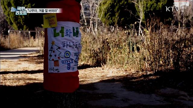 추위 속 나무에 옷 입혀준 푸근한 봉사