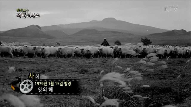 다시보는 대한늬우스 (79. 1. 15)