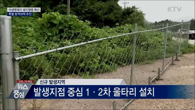 야생멧돼지 돼지열병 확산···특별 방역대책 추진