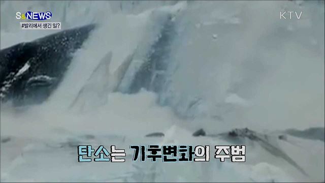 '발리'하면 떠오르는 플라스틱?···그린뉴딜로 탄소저감! [S&News]