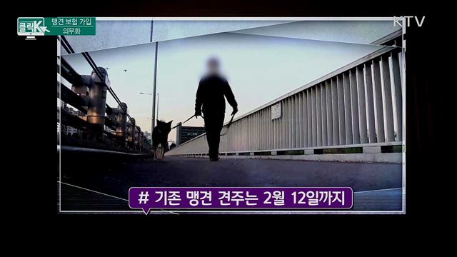 맹견 보험 가입 의무화 [클릭K]