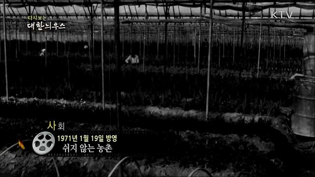 다시보는 대한늬우스 (71. 1. 19)
