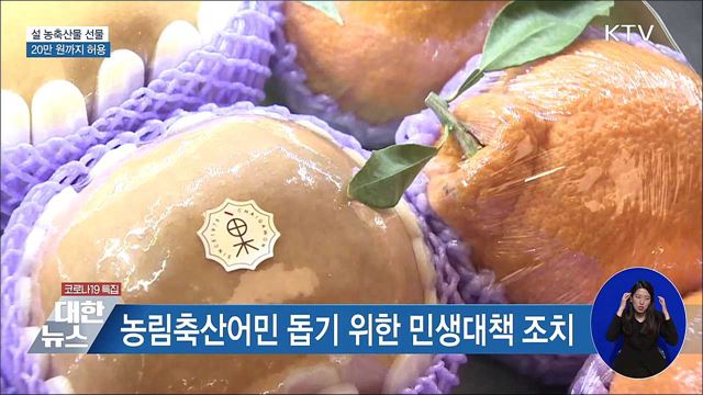 오늘부터 설 농축산물 선물 20만 원까지 허용