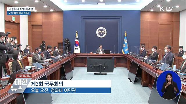 '아동학대 처벌 특례법' 국무회의서 의결