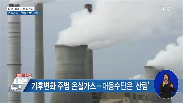 '탄소중립'···2050년까지 나무 30억 그루 심는다
