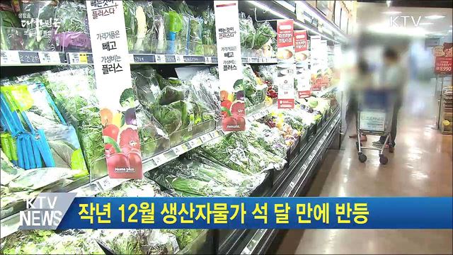 작년 12월 생산자물가 석 달 만에 반등