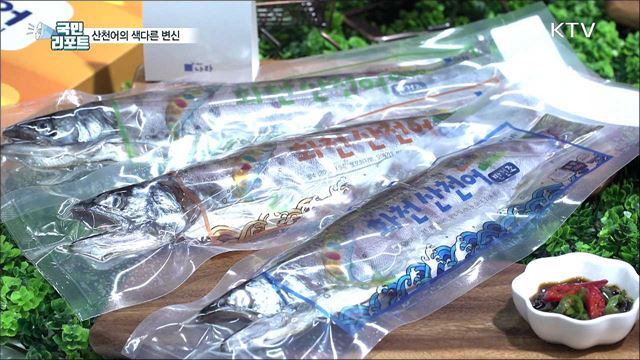 화천 산천어축제 취소···산천어, 식탁으로 온다!