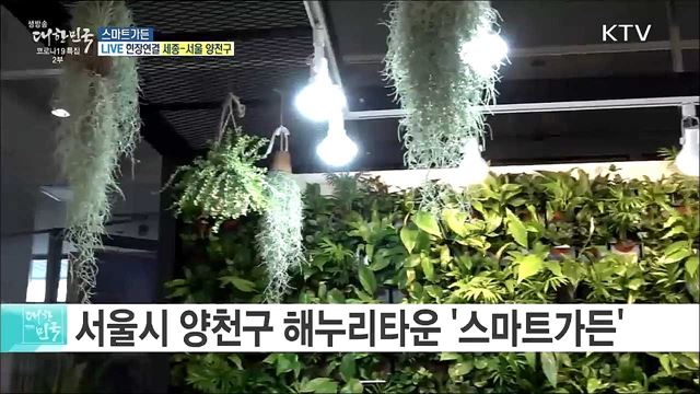 코로나19 극복 녹색쉼터, 양천구 스마트가든