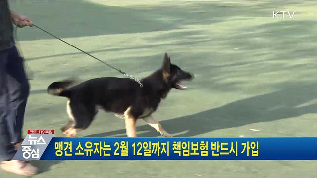 맹견 소유자는 2월 12일까지 책임보험 반드시 가입