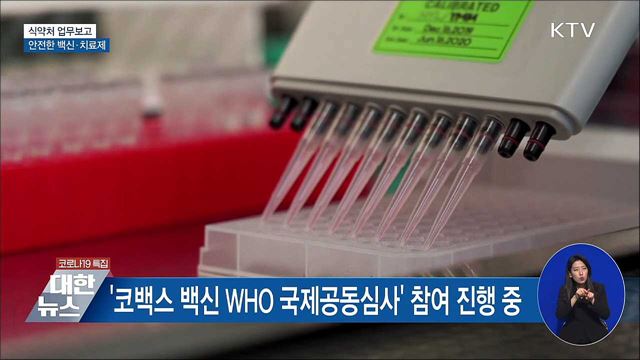 백신·치료제 '안전 최우선'···식의약품 관리 강화