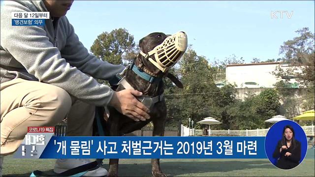 다음 달 12일부터 '맹견보험' 의무···월 1천250원