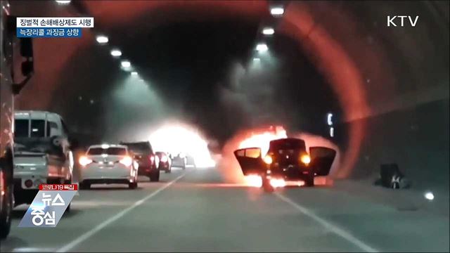 자동차 결함 숨기면 손해액 5배 배상···늑장리콜 방지