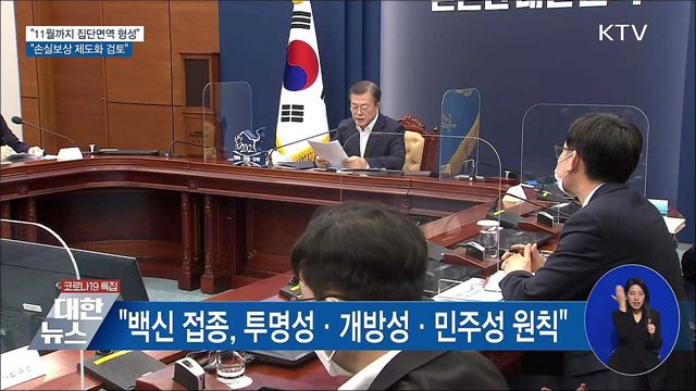 "11월까지 집단면역···손실보상 제도화 검토"