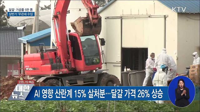 달걀·가공품 5만 톤 상반기 '무관세 수입'