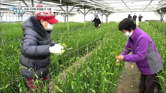 코로나19 길어져 화훼농가 시름···도움 손길도