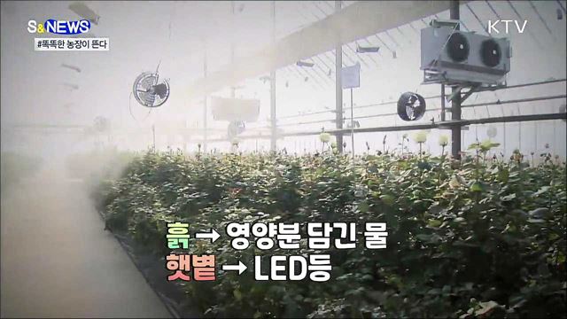 첨단기술로 대량 재배'스마트팜'이 뜬다! [S&News]