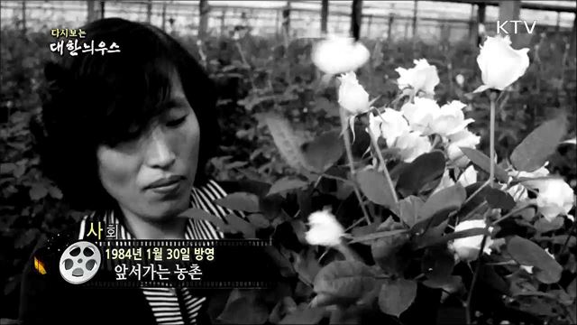 다시보는 대한늬우스 (84. 1. 30)