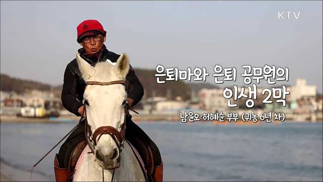 은퇴마와 은퇴 공무원의 인생 2막