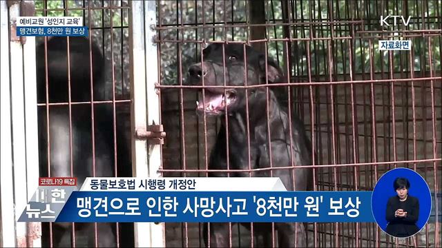 예비교원 '성인지 교육' 의무화···맹견사고 보상