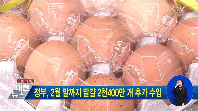정부, 2월 말까지 달걀 2천400만 개 추가 수입