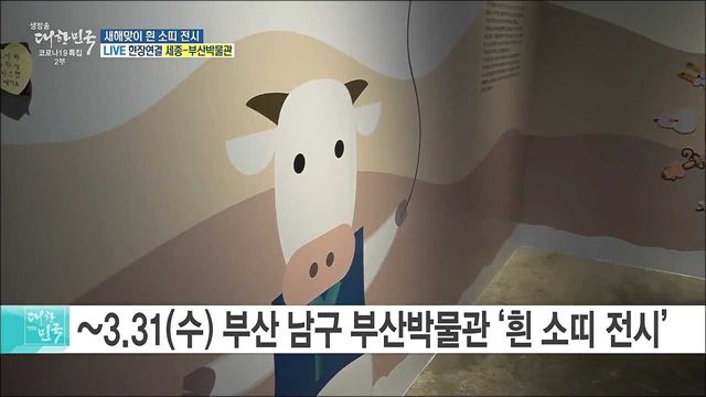 2021년 신축년! 새해맞이 흰 소띠 전시