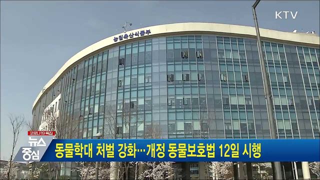 동물학대 처벌 강화···개정 동물보호법 12일 시행