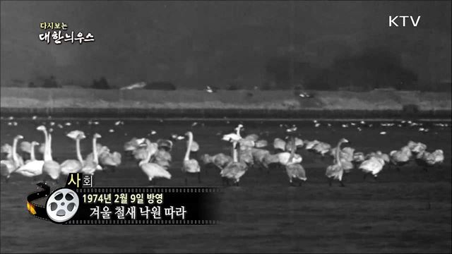 다시보는 대한늬우스 (74. 2. 9)