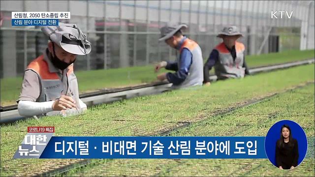 2050 탄소중립 추진···산림 분야 디지털 전환