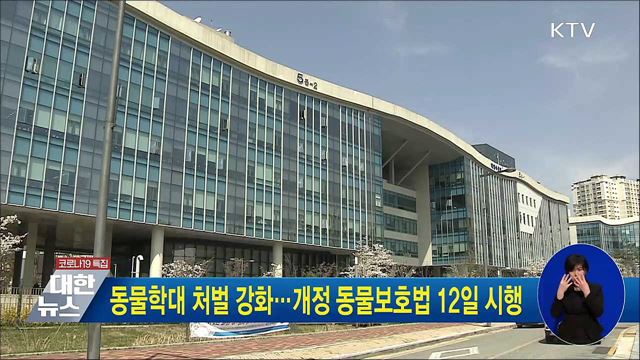 동물학대 처벌 강화···개정 동물보호법 12일 시행