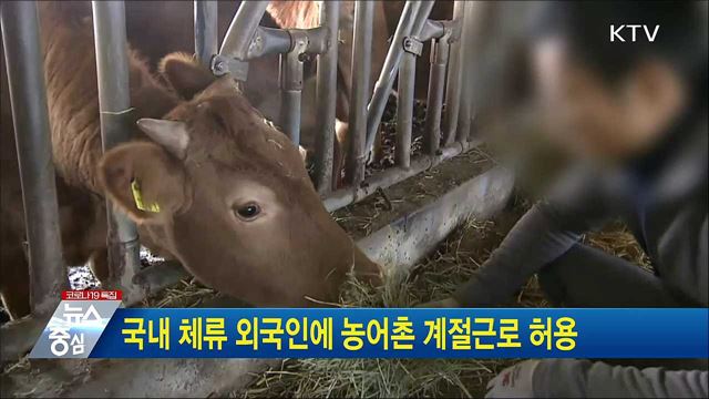 국내 체류 외국인에 농어촌 계절근로 허용