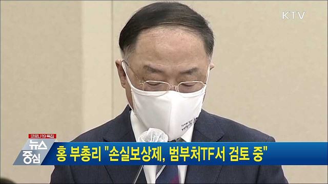 홍 부총리 "손실보상제, 범부처TF서 검토 중"