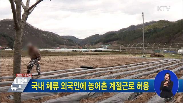 국내 체류 외국인에 농어촌 계절근로 허용