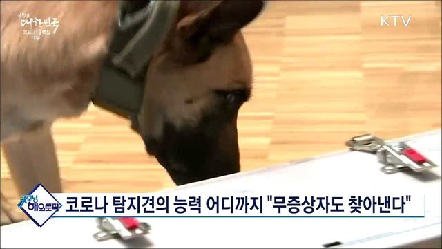 코로나 탐지견의 능력 어디까지 "무증상자도 찾아낸다" [굿모닝 해외토픽]
