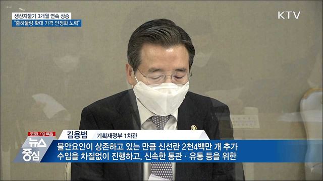 생산자물가 3개월 연속↑···"가격안정화 노력"