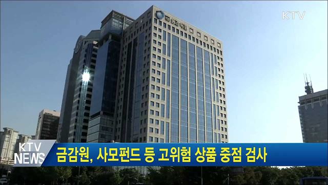 금감원, 사모펀드 등 고위험 상품 중점 검사