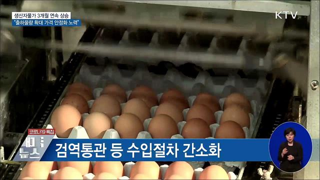 생산자물가 3개월 연속↑···"가격안정화 노력"