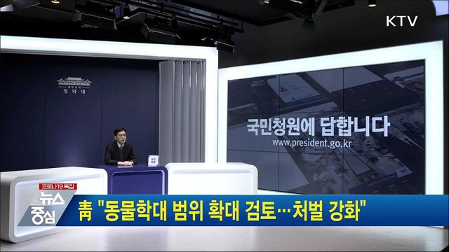 靑 "동물학대 범위 확대 검토···처벌 강화"