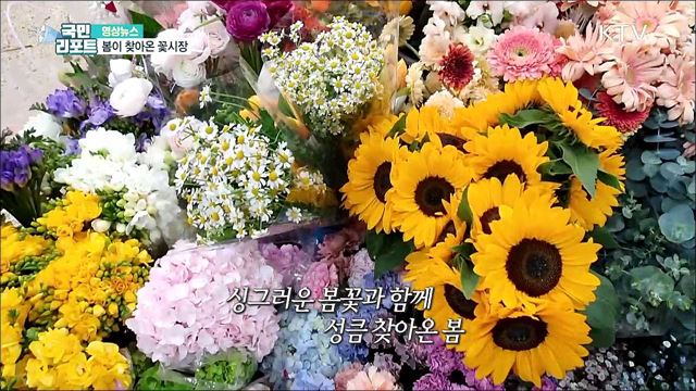 봄이 찾아온 꽃시장 [한국의 美]
