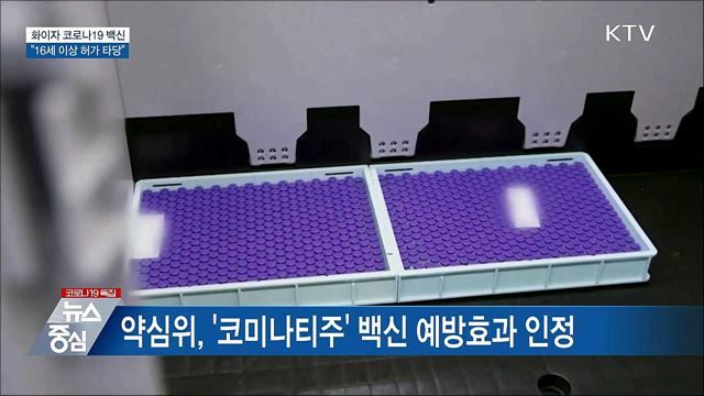 약심위 "화이자 백신, 16세 이상 허가 타당"