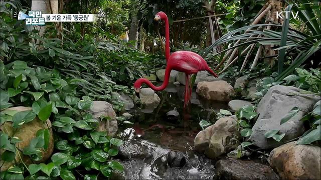 "새봄이 찾아왔어요" 경주 동식물원 '동궁원'