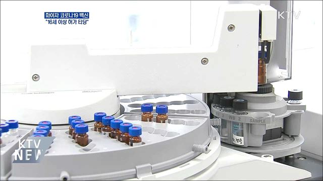약심위 "화이자 백신, 16세 이상 허가 타당"