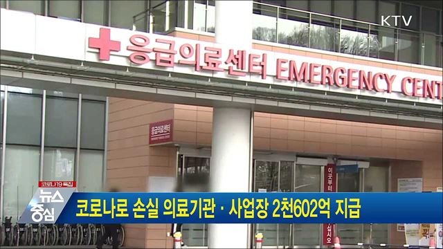 코로나로 손실 의료기관·사업장 2천602억 지급