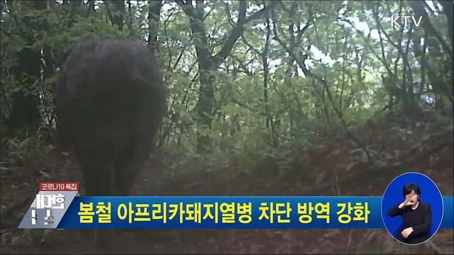 봄철 아프리카돼지열병 차단 방역 강화