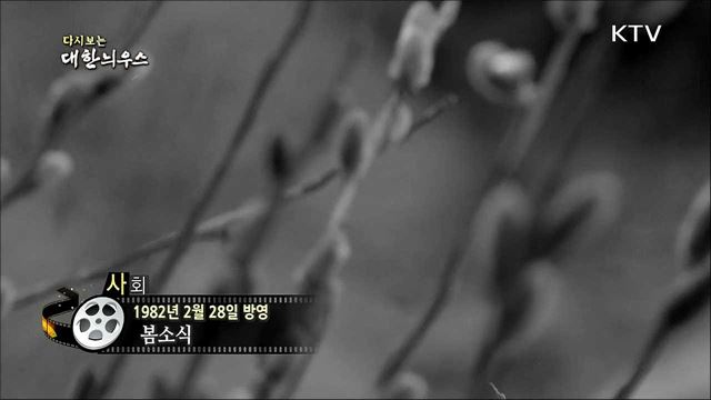 다시보는 대한늬우스 (82. 2. 28)